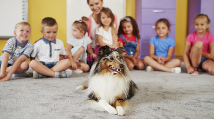 Cane scuola